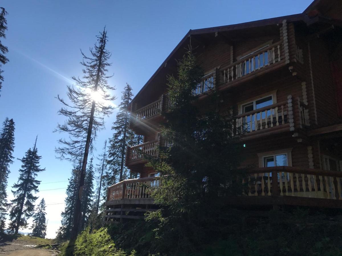 Alpin Eco Chalet & Wellness Dragobrat Ngoại thất bức ảnh